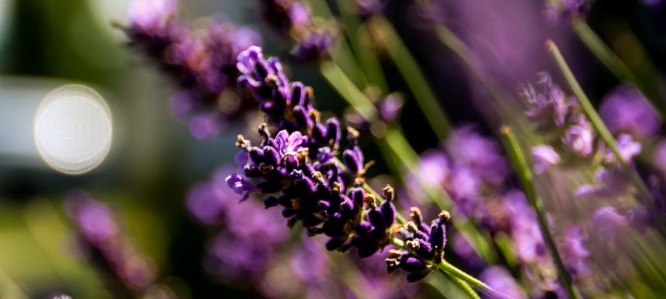 Bodová myofasciální technika