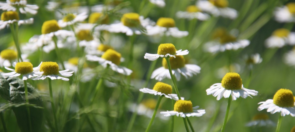 Synchronicity a&nbsp;znamení v&nbsp;životě