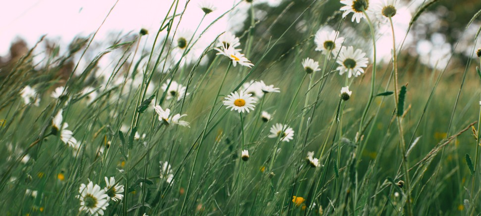 Psychoenergetická kinezioterapie: nejčastější dotazy