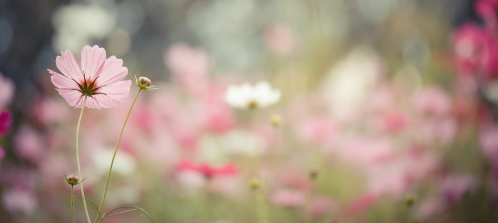 Jak změnit staré vzorce a&nbsp;žít jinak
