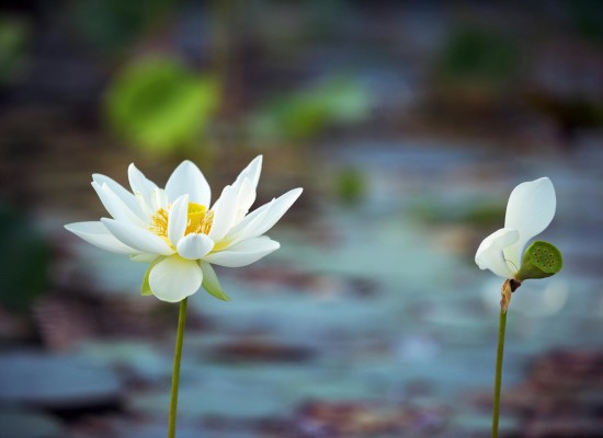 Žiješ opravdu svůj život? | Milena Kašparová