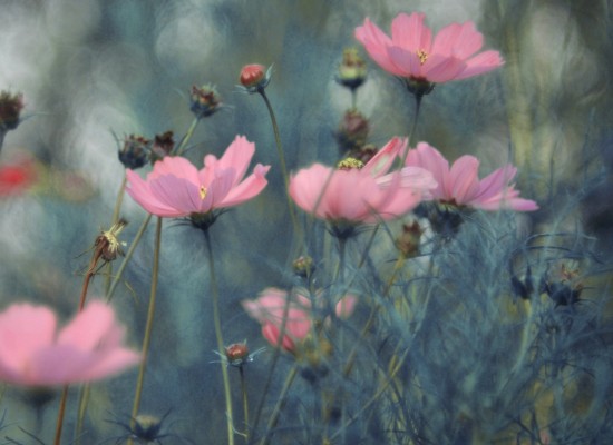 Všímáte si náhod? Synchronicity a&nbsp;znamení v&nbsp;životě